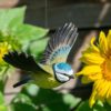 DecoBird vliegende Pimpelmees - Afbeelding 3
